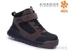 TOM.M B60131-C