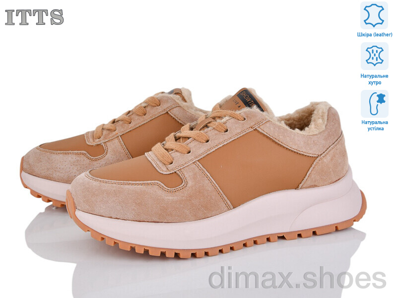 ITTS BK197-6