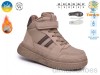 TOM.M 65213E