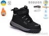 TOM.M 68213A