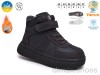 TOM.M 65212C