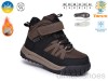 TOM.M 68216C