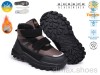TOM.M T68179D
