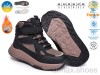 TOM.M T65208C