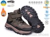 TOM.M T68182F