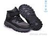 TOM.M T68182K