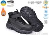 TOM.M T68181B