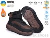 TOM.M T65206D