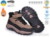 TOM.M T68181H