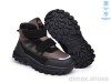 TOM.M T68179D