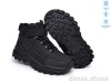TOM.M T68181A