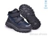 TOM.M T68179C