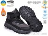 TOM.M T68182K