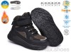 TOM.M T65208F