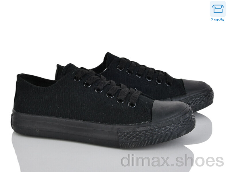 Vasyl B113-6