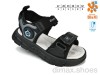 TOM.M 11531A