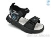 TOM.M 11531A