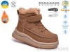 TOM.M 65203D