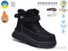TOM.M 65203A