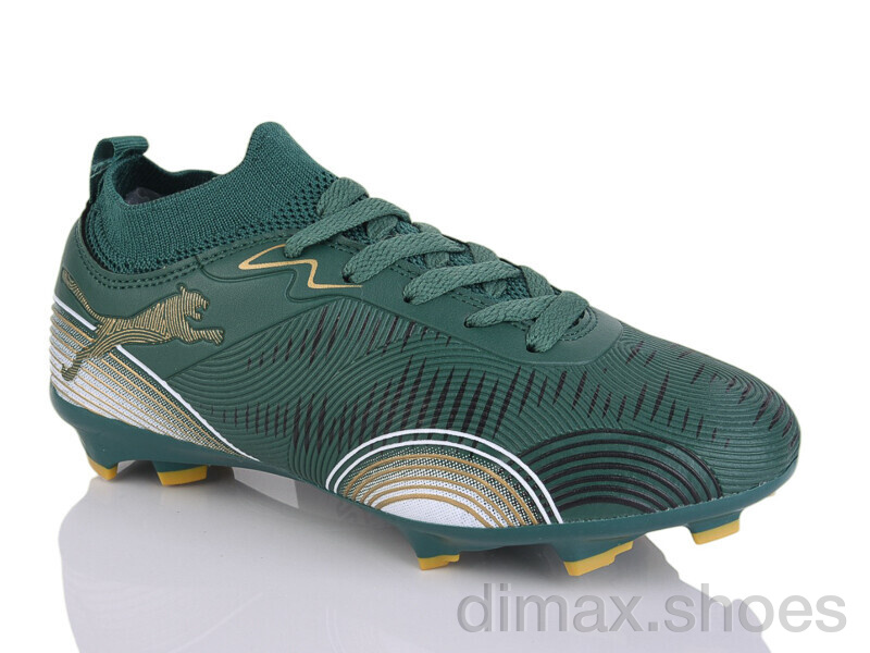 ASHIGULI 508S