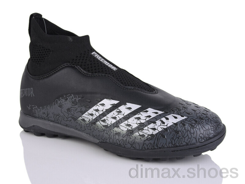 ASHIGULI 289A