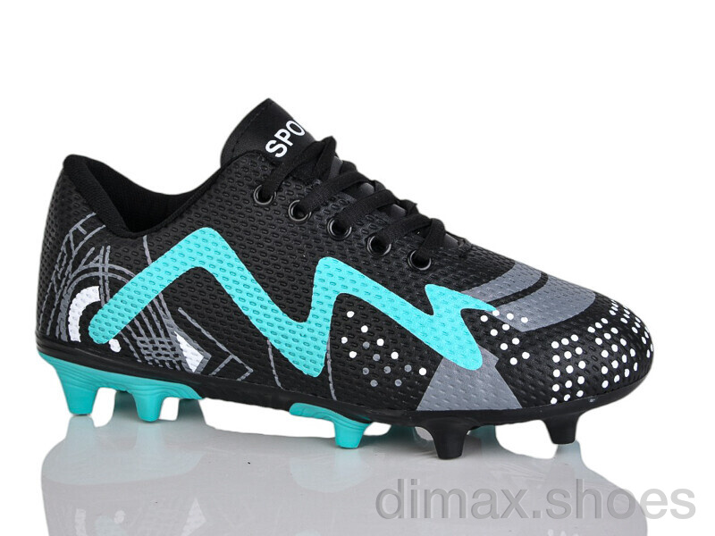 ASHIGULI C10-1 (36-41)