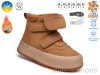 TOM.M 60161-C