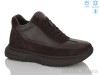 MD-GRESSO-LUNASTEP 26-ZHF7838-15
