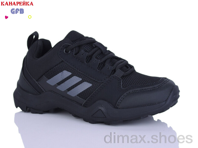 GFB-Канарейка R310-1