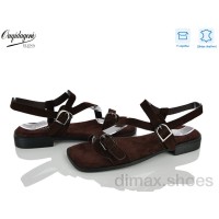 Dageni F247-9