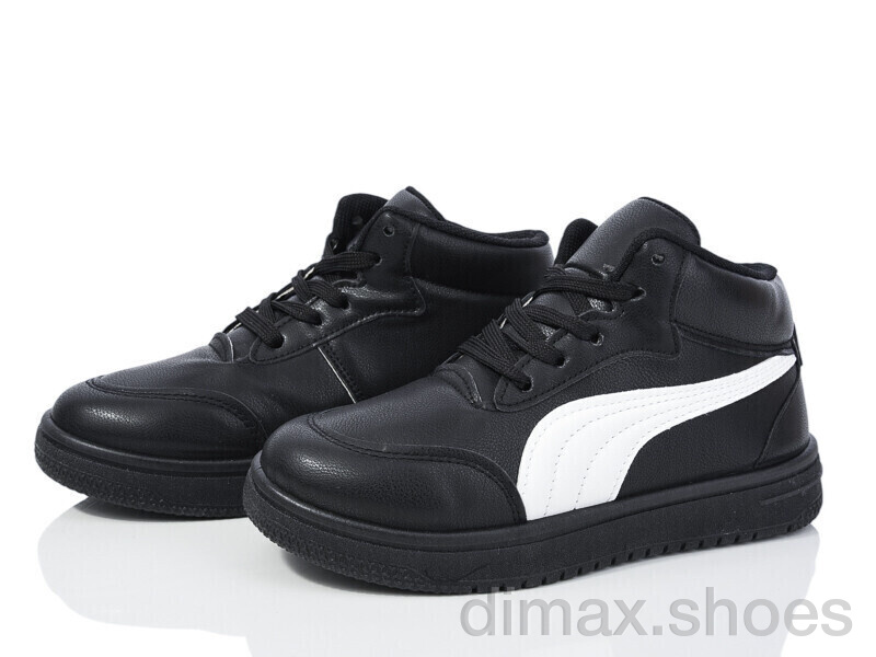 FG T804