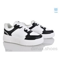 Pryama Vigoda 4309-5-31