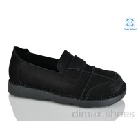 Teetspace-Trasta-Egga WDP2036-1