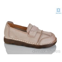 Teetspace-Trasta-Egga WDP2036-118