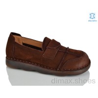 Teetspace-Trasta-Egga WDP2036-33