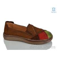 Teetspace-Trasta-Egga WDP2035-5