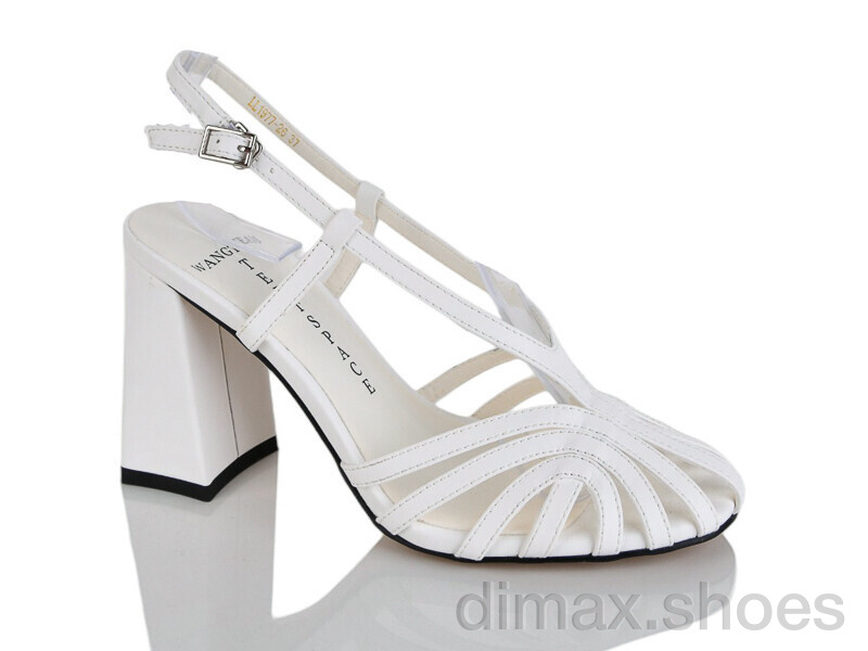 Teetspace-Trasta-Egga LL1977-26