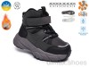 TOM.M 60146-F