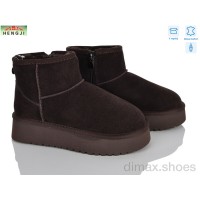 HENGJI-ELENA T54-7A