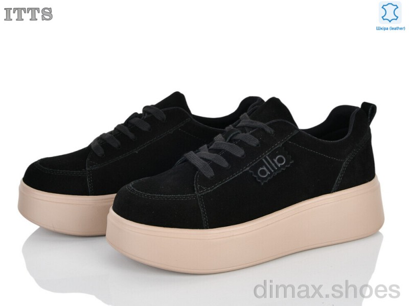 ITTS H79-2