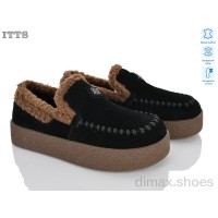 ITTS L8302-2