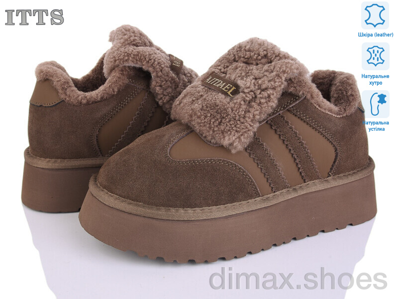 ITTS S7981-3