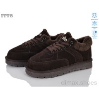 ITTS SD249-41