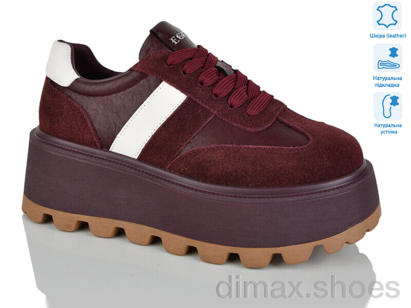 Teetspace-Trasta-Egga WDP1667-58