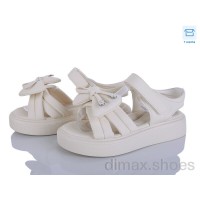 Clibee-ShoSho ZC178-3