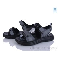 Clibee-ShoSho ZD2211-2