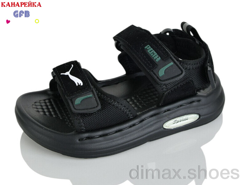 GFB-Канарейка T66-1