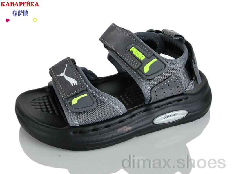 GFB-Канарейка T66-3