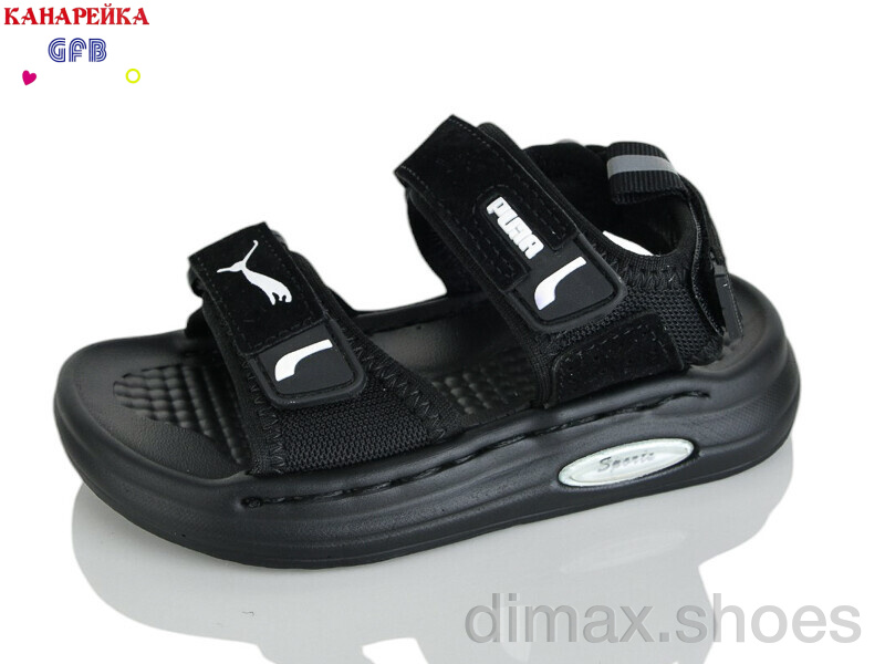 GFB-Канарейка T66-6