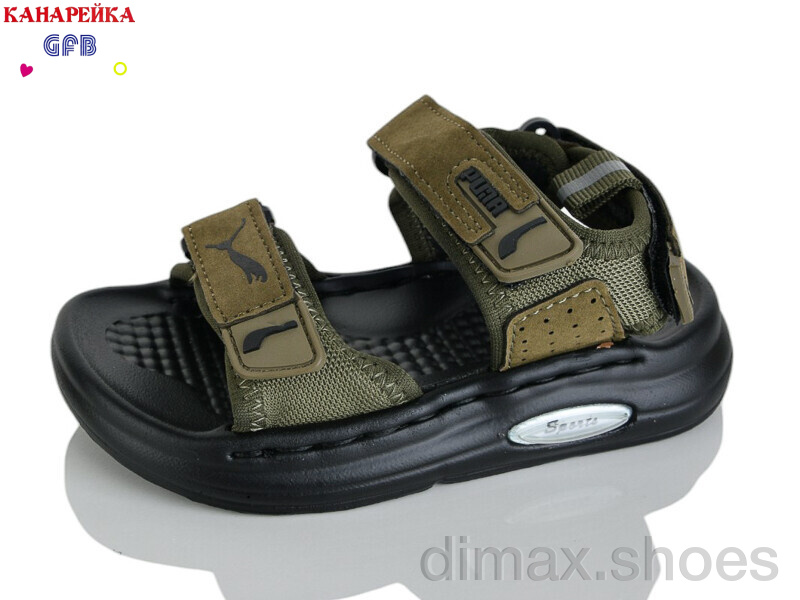 GFB-Канарейка T66-5